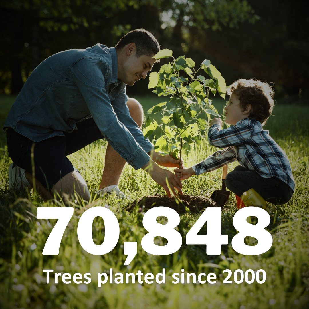 Father and son planting a tree; 70,848 tress planted since 2000